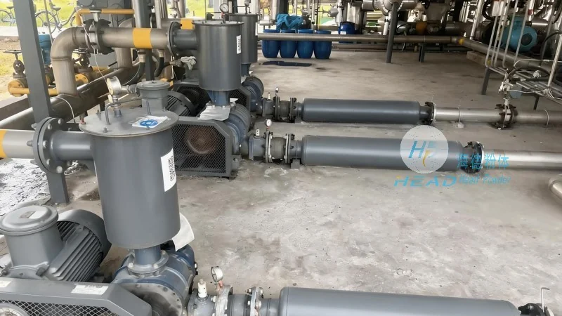 Pulbos ng Sodium-Bicarbonate Desulfurization, Pneumatic Conveying, Solusyong Custom-built
